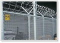 PVC Chain link fence 2