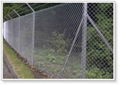 PVC Chain link fence 3