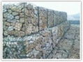 Gabion mesh