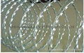 Barbed Wire 1