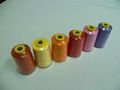 POLYESTER  EMBROIDERY THREAD 2