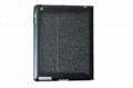 iPad case 2