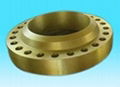 Forged Weld Neck (WN) Stainless Steel Flange