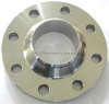 Forged Weld Neck (WN) Stainless Steel Flange 2