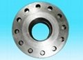 Forged Weld Neck (WN) Stainless Steel Flange 3