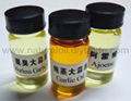 Odorless Garlic Oil 2