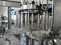 Bottled Corn Juice Filling and Sealing Machinery ,Making Plant 2