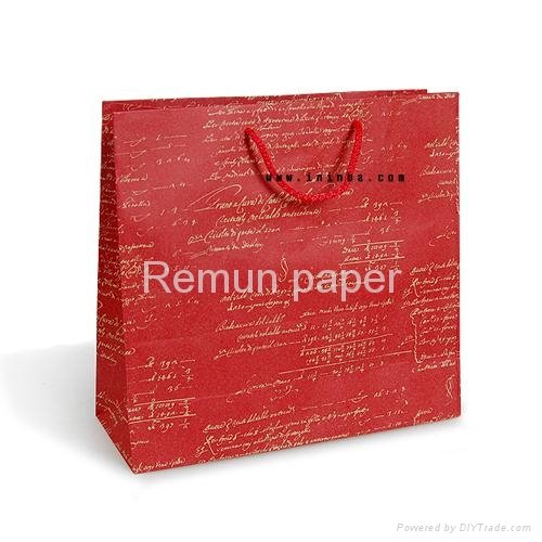 2013new fashion paper bag