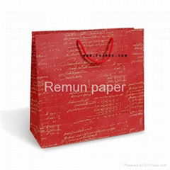 2013new fashion paper bag