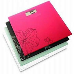 Bathroom Scale DMR-TY6101