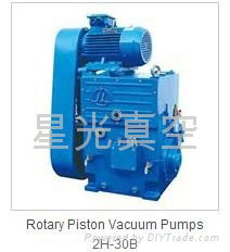 Rotary Piston Vacuum pump with good quality and  very competitive price.