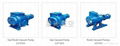 Roots vacuum pump with good quality and  very competitive price 2