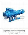 Roots vacuum pump with good quality and  very competitive price 4