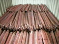 Copper Ingot