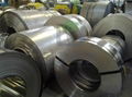 Stainless Steel Strips