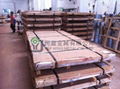 Stainless Steel Plate/Sheet 1