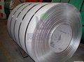 Stainless Steel 201 Coils of Top Wing Metal  1