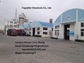 Plastic Bag Packing and High-efficient Detergent Powder without Phosphorus 4