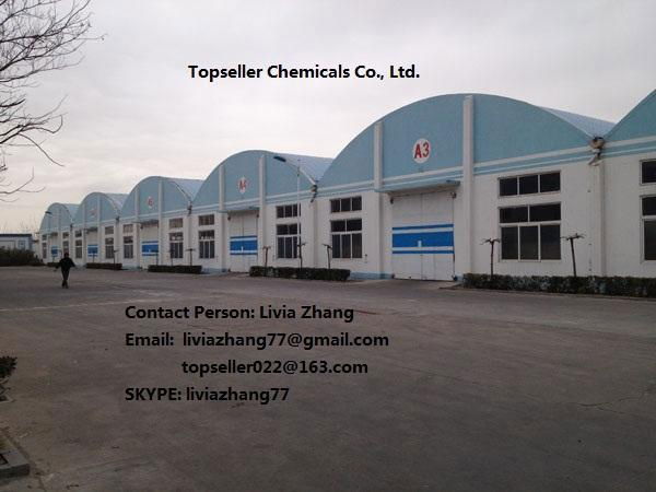 Plastic Bag Packing and High-efficient Detergent Powder without Phosphorus 5