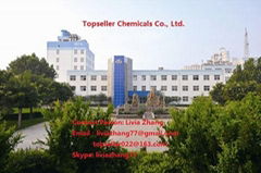 Topseller Chemicals Co., LTD