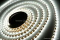 Waterproof 120leds/Metre SMD 3528 Strip Light (STL-WP-R3528X-24-120 )