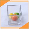 Classic Simple Square Glass Vase  2