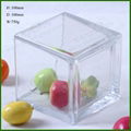 Classic Simple Square Glass Vase  4