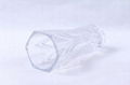 Classic Flower Clear Glass Vase  5