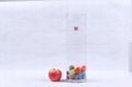 Cylinder Glass Vase Hot Sale  3