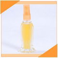  Fish Shaped Perfume Glass Bottle With Plastic Sprayer  3