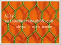  Hexagonal Twisted Wire Mesh 1