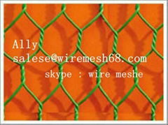  Hexagonal Twisted Wire Mesh