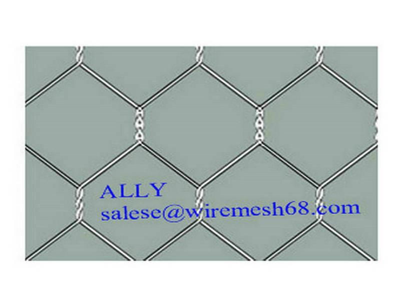  Hexagonal Twisted Wire Mesh 2