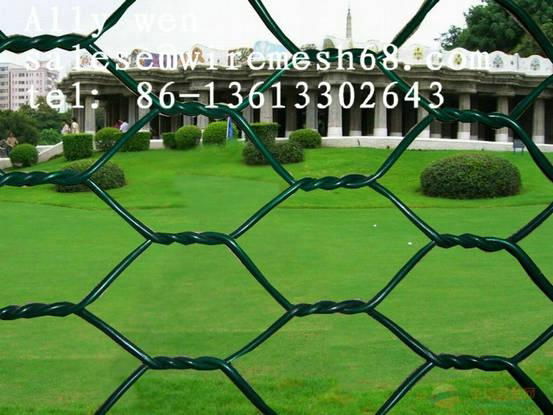  Hexagonal Twisted Wire Mesh 3