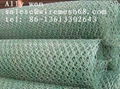  Hexagonal Twisted Wire Mesh 4