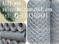  Hexagonal Twisted Wire Mesh 5