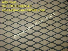 Stainless steel  wire mesh