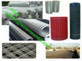 Welded Wire Mesh 