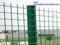 Dutch fence  , holland wire mesh