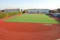 Raw material for running track field construction 2