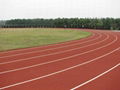 Sandwich PU Rubber Running Track