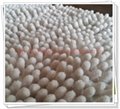 100% polyester fabric/jacquard chenille upholstery fabric/chenille bath mat