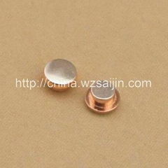 Manufacture High Precision AgCdO Automobile Electrical Bimetal Rivet for relay