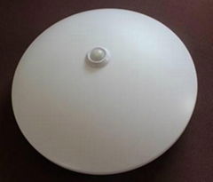 LED  inductive ceiling light