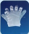 Disposable PE/PVC glove