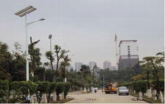  Sacred Garden Used Solar Street Light