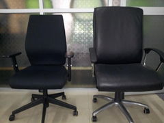 Fashion office chairs