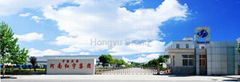 Henan Hongyu Enterprise Group Co., Ltd.