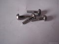 stainless steel beam rods screw with