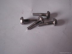 stainless steel beam rods screw with